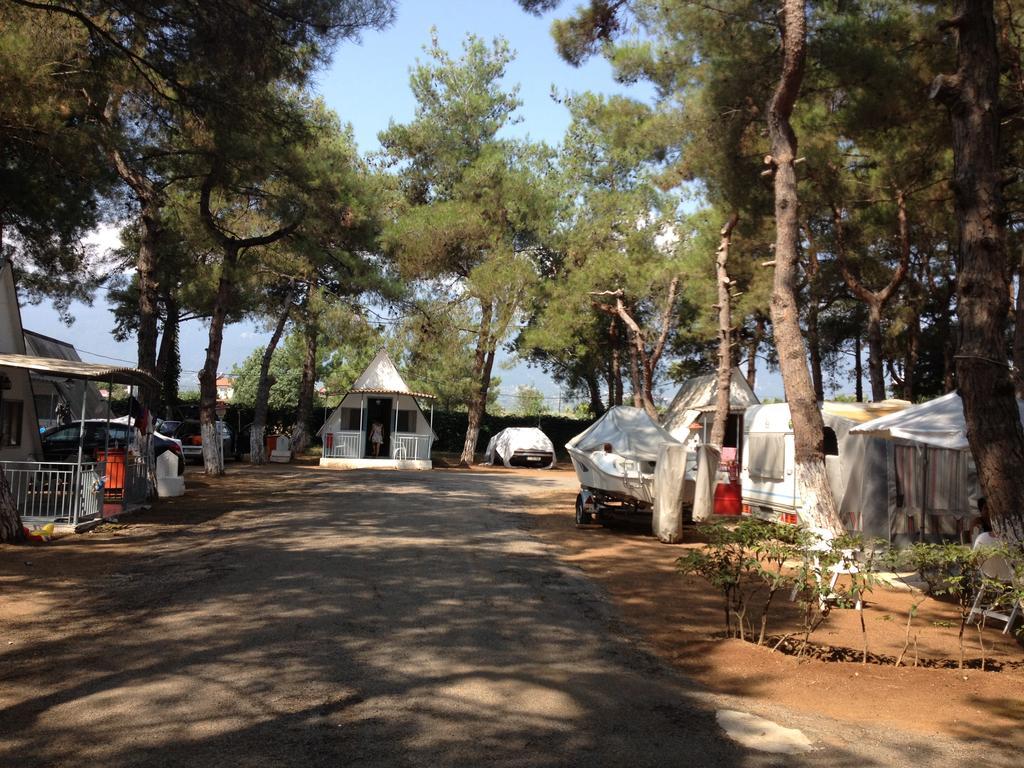 Olympos Beach Plaka Litochorou Exterior photo