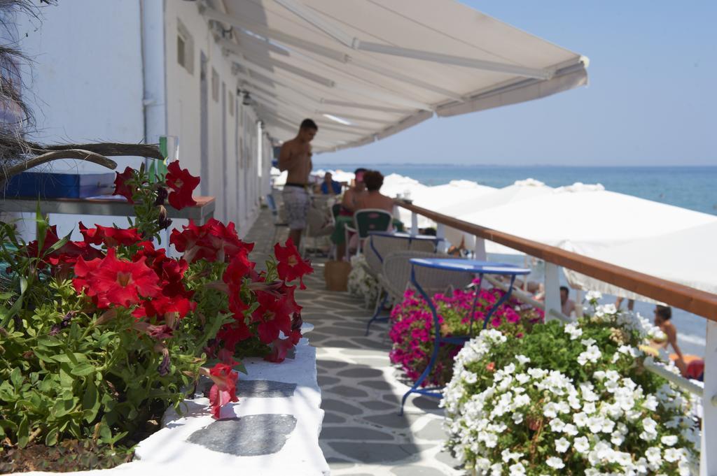 Olympos Beach Hotel Plaka Litochorou Exterior photo