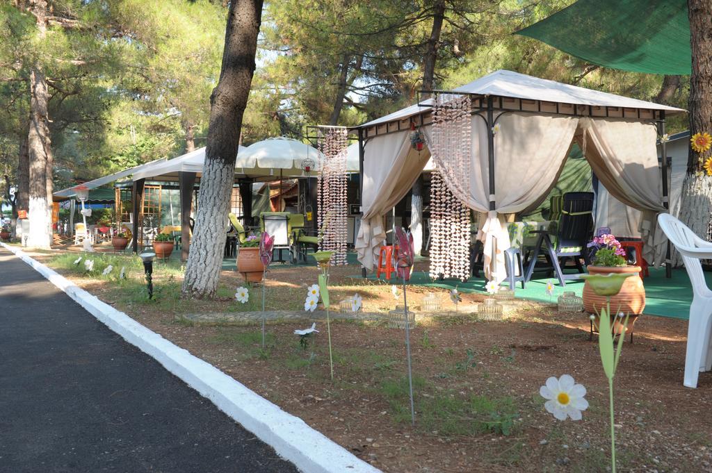 Olympos Beach Plaka Litochorou Exterior photo