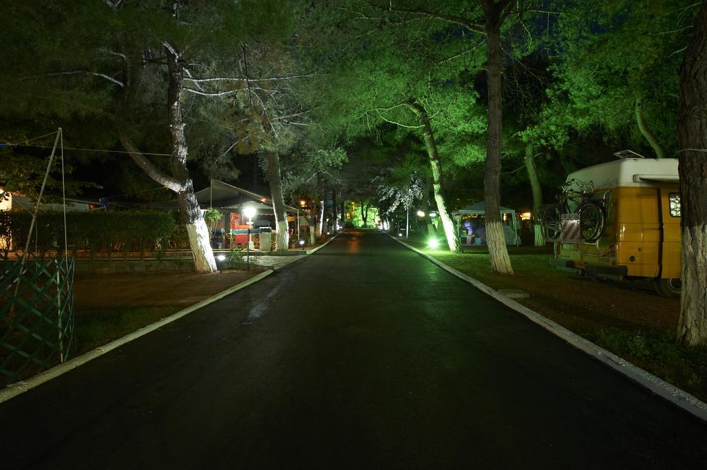 Olympos Beach Hotel Plaka Litochorou Exterior photo